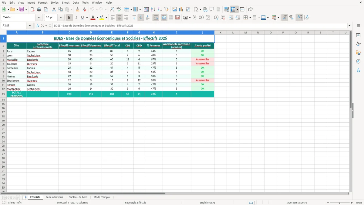 Capture 1 : onglet Effectifs - Modèle Excel exemple bdes excel