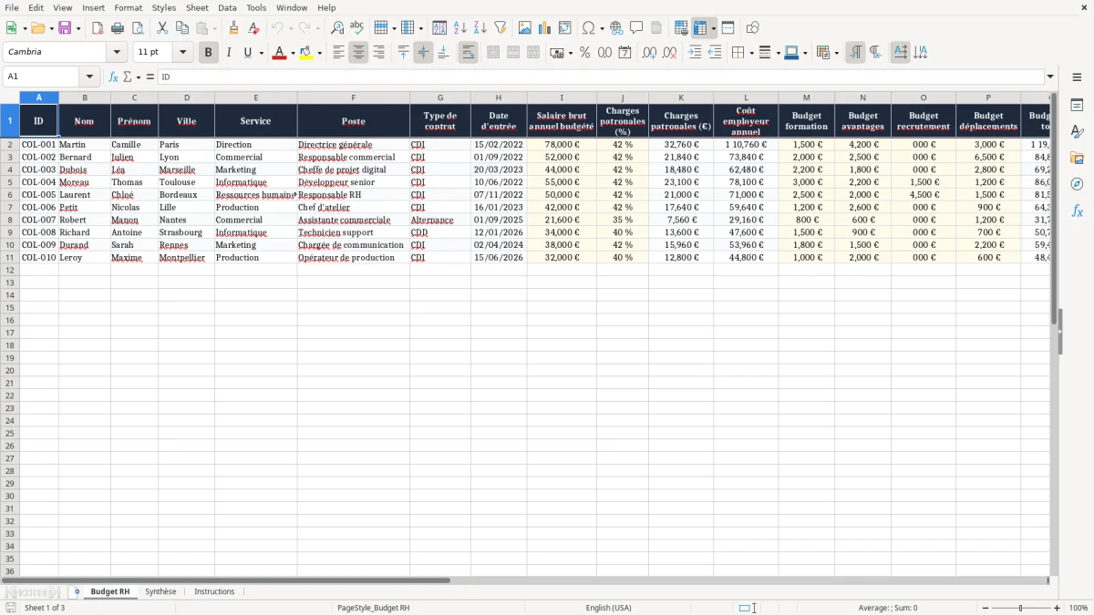 Capture 1 : onglet Budget RH - Modèle Excel budget rh excel